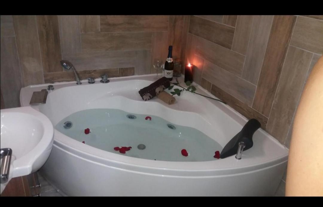 Marina Jacuzzi Apartment Free Parking Novi Sad Buitenkant foto