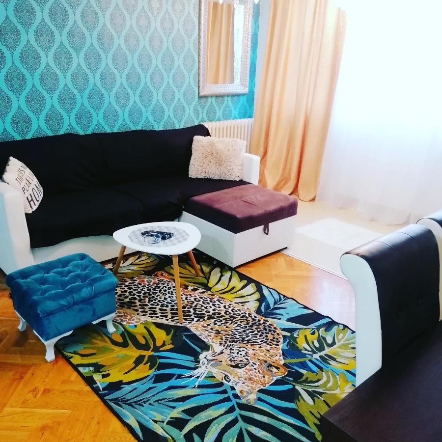 Marina Jacuzzi Apartment Free Parking Novi Sad Buitenkant foto