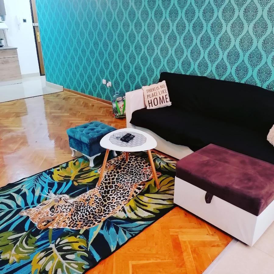 Marina Jacuzzi Apartment Free Parking Novi Sad Buitenkant foto